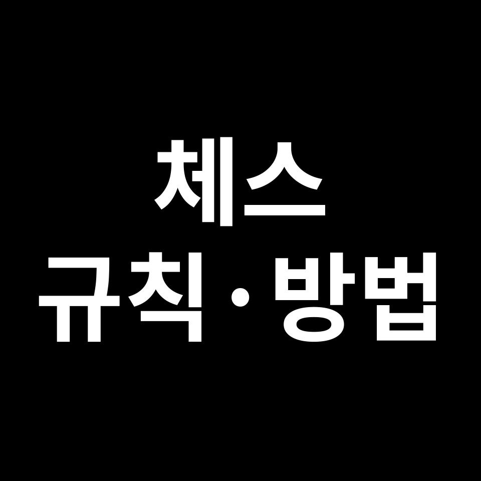 체스 두는법, 체스 하는법 완벽 정리 | 전략, 방법, 팁 등