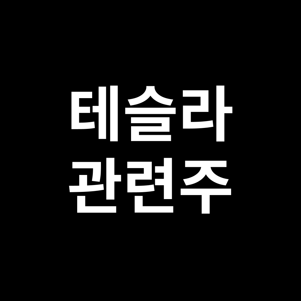 테슬라 관련주 대장주 TOP5 | 국보디자인, 엘앤에프, 아모그린텍 등