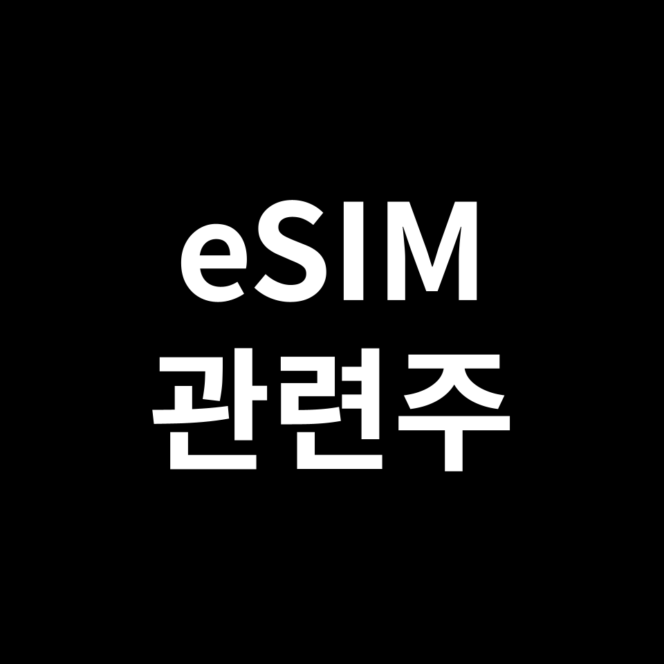 eSIM 관련주 대장주 TOP5 | 이심, 국내, 미국, 해외, ETF 등