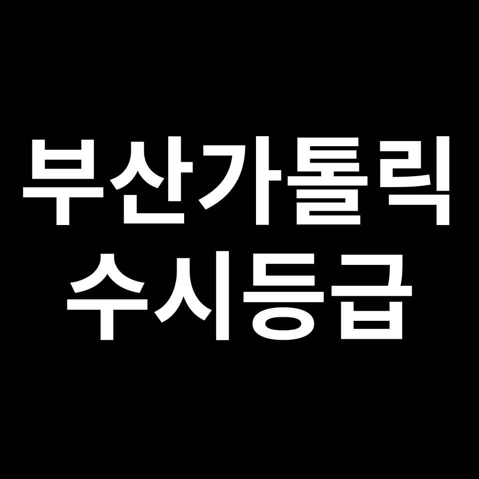 부산가톨릭대 부산가톨릭 수시등급 수시등급 입결